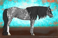 Horse Color:Black Ice 