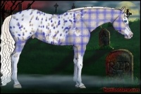 Horse Color:Plaid  Silver Grullo Sabino Splash Blanket 