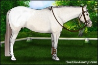 Horse Color:Bay Dun Snowcap 