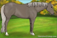 Horse Color:Silver Smoky Black 