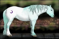 Horse Color:Watercolor Smoky Black Appaloosa Rabicano 