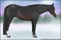 Horse Color:Brown Sabino