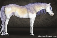 Horse Color:Watercolor Red Onyx Ice Roan Splash 