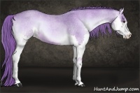 Horse Color:Watercolor Red Onyx Roan Splash 