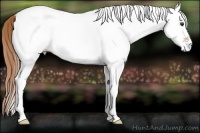 Horse Color:White Spotted Chestnut Ice 