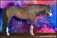 Horse Color:Bay Sabino 
