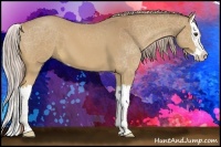 Horse Color:Palomino Sabino Splash 