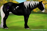 Horse Color:Nacre Chocolate Palomino Chinchilla Pearl Dun Splash Appaloosa 