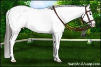 Horse Color:Black Snowflake Varnish
