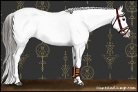 Horse Color:Black Near Leopard 