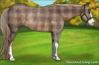 Horse Color:Plaid Liver Chestnut Sabino Rabicano