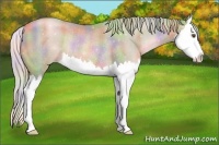 Horse Color:Nacre Watercolor Liver Chestnut Pearl Splash Rabicano 