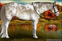 Horse Color:White Spotted Liver Chestnut Sabino Splash