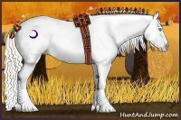 Horse Color:Cremello Splash Blanket