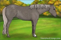 Horse Color:Silver Black 