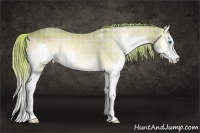 Horse Color:Plaid  Chocolate Palomino Onyx Sabino Splash Rabicano 