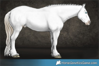 Horse Color:White Spotted Buckskin Pearl Sabino Snowcap 