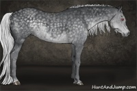 Horse Color:Silver Black Chinchilla Sabino