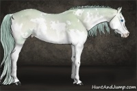 Horse Color:Watercolor White Spotted Perlino Onyx Splash 
