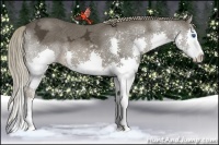 Horse Color:Liver Chestnut Ice Sabino Splash 