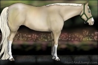 Horse Color:Liver Chestnut Pearl 