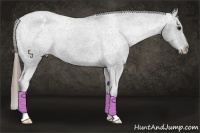 Horse Color:Smoky Black Appaloosa