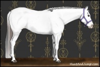 Horse Color:Brown Near Leopard 