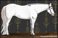 Horse Color:Red Roan Near Leopard 