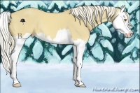 Horse Color:Palomino Dun Splash