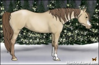 Horse Color:Grullo Pearl 