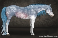 Horse Color:Watercolor Bay Ice Sabino