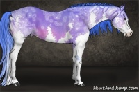 Horse Color:Watercolor Bay Ice Splash 