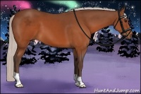 Horse Color:Silver Brown 