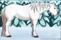 Horse Color:Black Varnish Rabicano