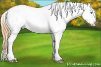 Horse Color:Plaid Bay Ice Sabino Splash Appaloosa Rabicano