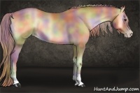 Horse Color:Nacre Gold Champagne Roan Onyx