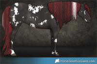 Horse Color:Painted White Spotted Liver Chestnut Rabicano