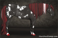 Horse Color:Painted White Spotted Liver Chestnut Rabicano 