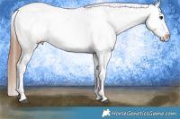 Horse Color:Grullo Blanket Brindle 