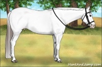 Horse Color:Grullo Appaloosa Brindle 
