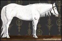 Horse Color:Silver Amber Champagne Roan Dun Splash Tobiano Frame Appaloosa Rabicano 