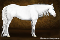 Horse Color:Silver Amber Champagne Roan Dun Splash Tobiano Frame Varnish Rabicano