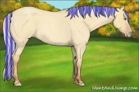 Horse Color:Painted Silver Classic Champagne Roan Dun 