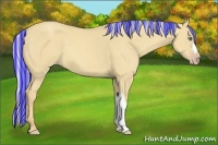 Horse Color:Painted Silver Classic Cream Champagne Dun 