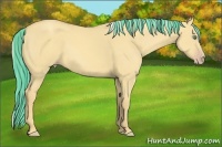 Horse Color:Painted Gold Cream Champagne Dun 
