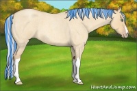 Horse Color:Painted Silver Amber Champagne Roan Dun 