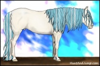 Horse Color:Painted Silver Amber Cream Champagne Roan Pearl Dun 