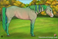 Horse Color:Painted Watercolor Bay Dun Splash 