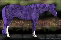 Horse Color:Watercolor Black Ice 
