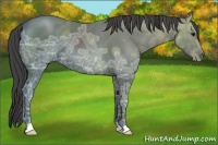 Horse Color:Smoky Black Ice 